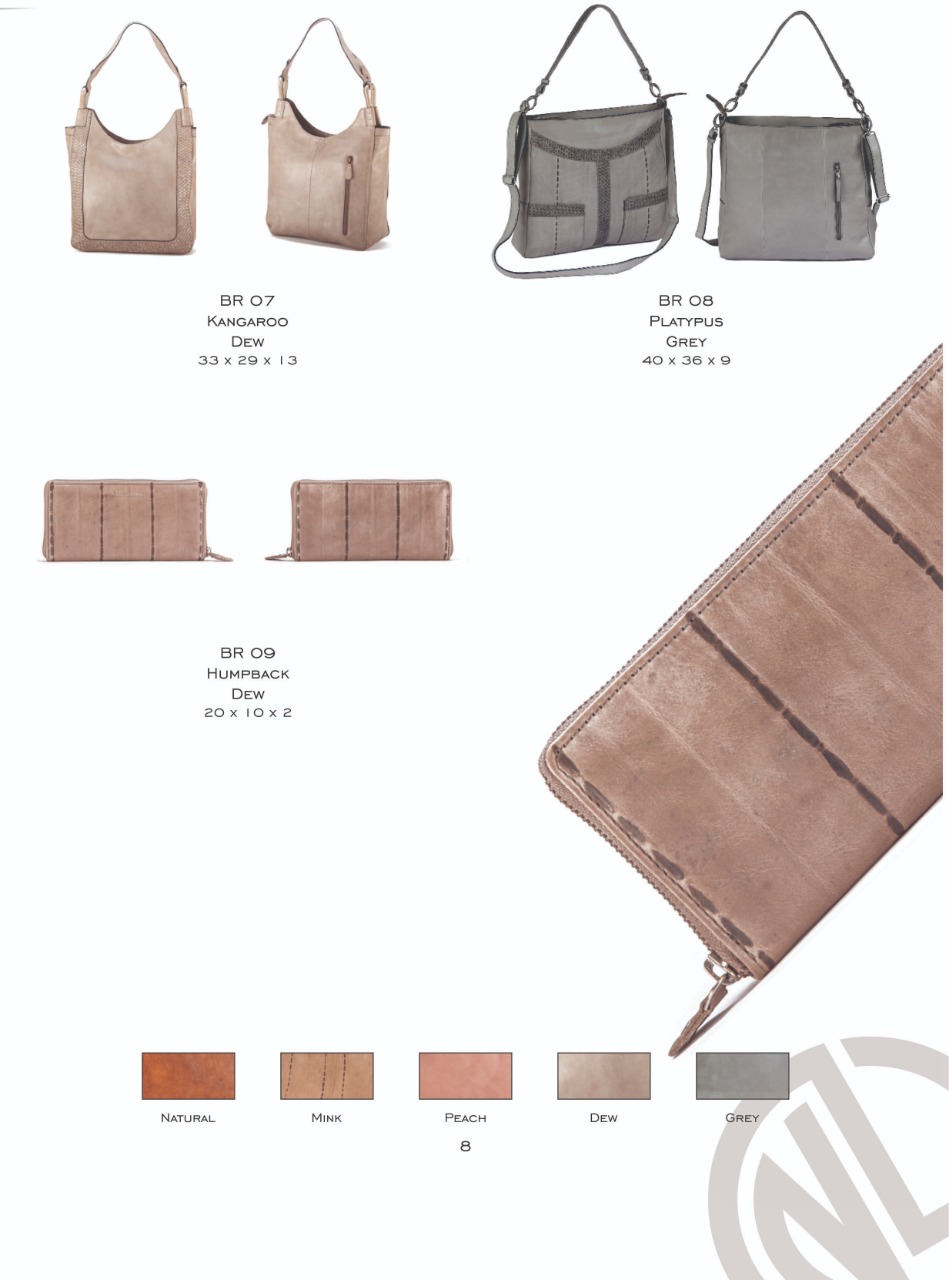 Odoo • Image and Text